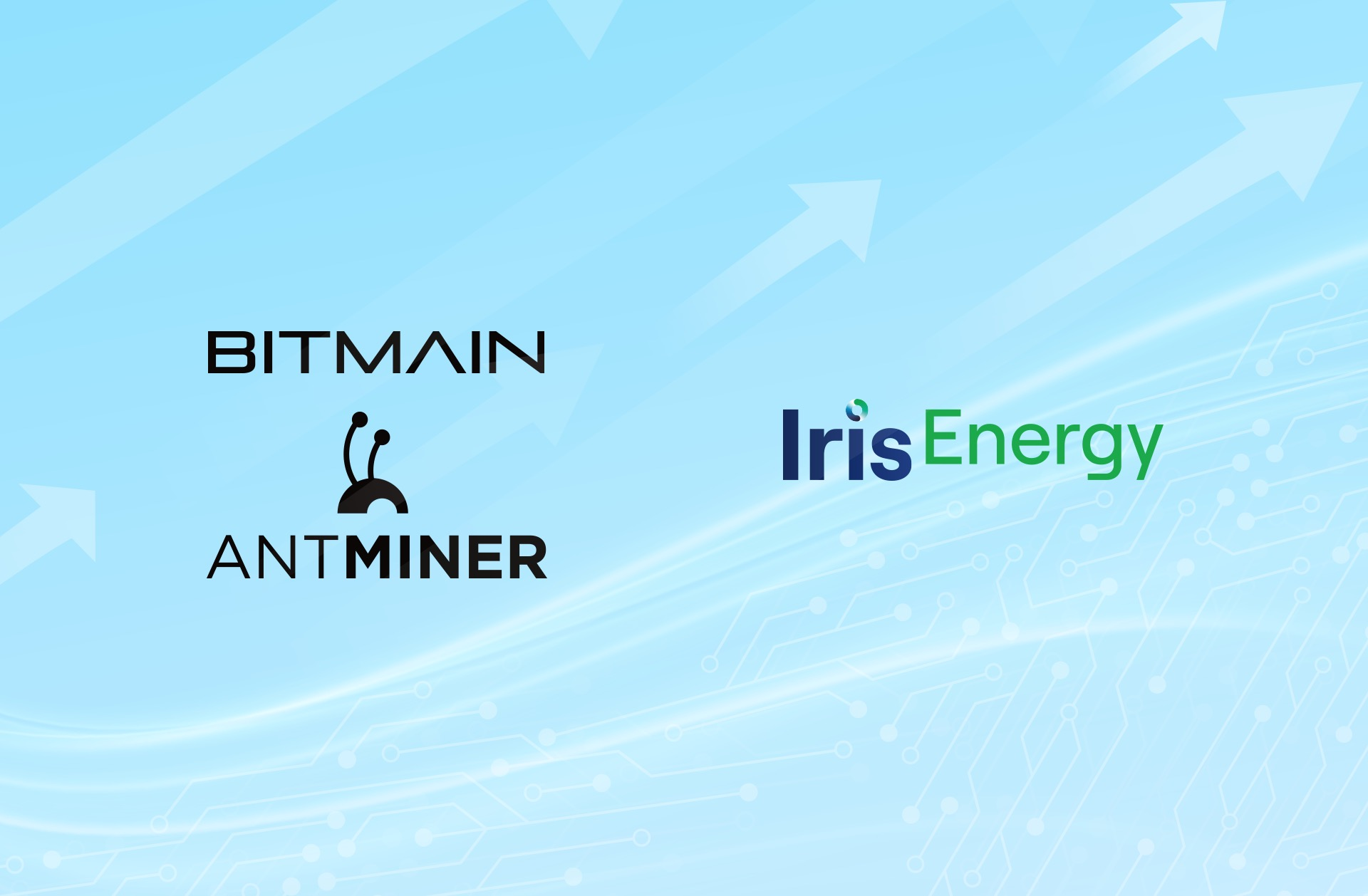 Bitmains Non Fixed Price Order Model Helps Customer Iris Ene