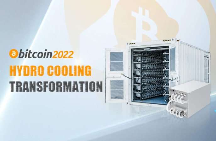 Bitcoin 2022