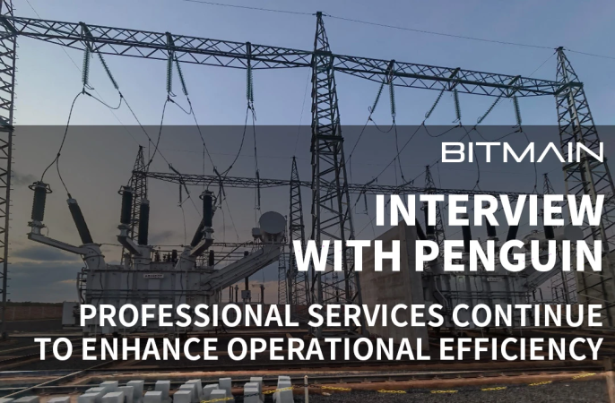 Interview with Penguin: Professional Services Continue to Enhance Operational Efficiency